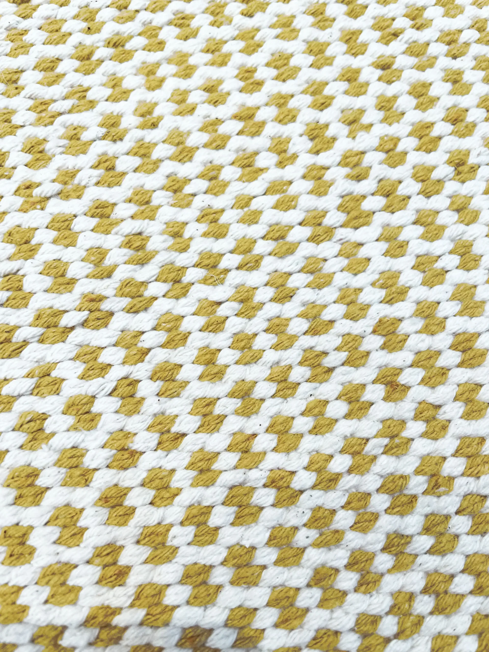 Favo-cru-e-mostarda-DETALHE